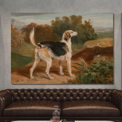 Ravager One Of The Lambton Hounds James Ward, jwr30 canvas print