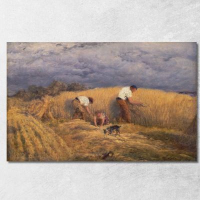 Studio Finito Per 'Mietitura' John Linnell jln2 quadro stampa su tela