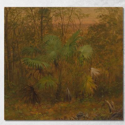 Palma Di Paglia Giamaica Frederic Edwin Church fec99 quadro stampa su tela