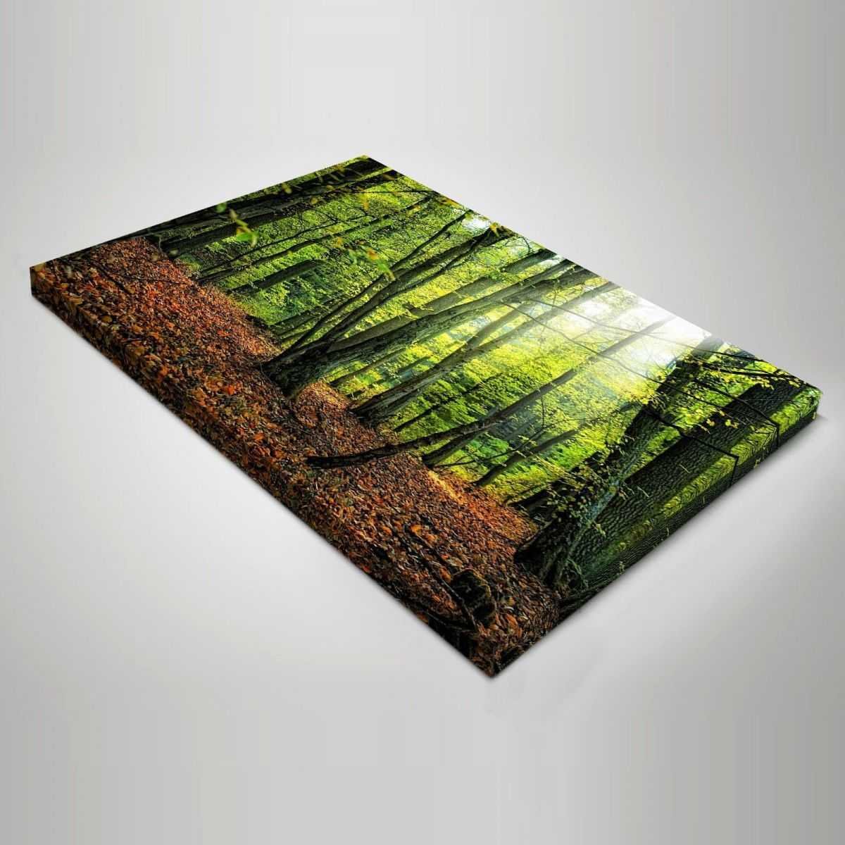 Quadro Paesaggio silenzio degli alberi quadro moderno stampa su tela psgo6