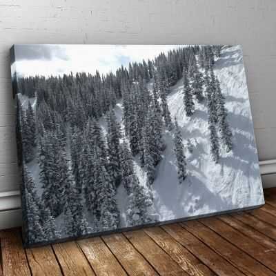 Quadro Paesaggio neve sui pini quadro moderno stampa su tela psgo12