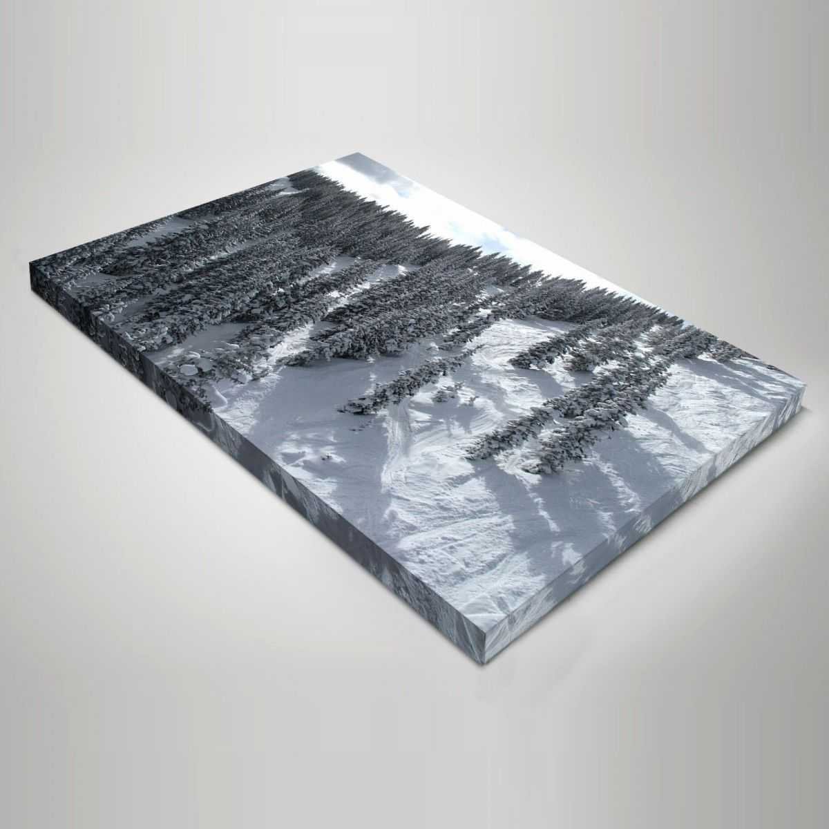 Quadro Paesaggio neve sui pini quadro moderno stampa su tela psgo12