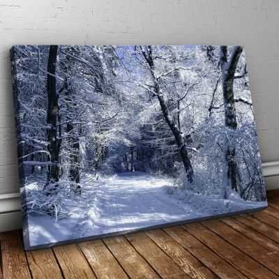Quadro Paesaggio passeggiata tra la neve quadro moderno stampa su tela psgo81