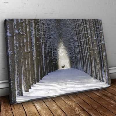 Quadro Paesaggio viale alberato con neve e cervo stampa su tela psgo170