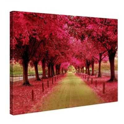 Quadro Paesaggio viale alberato in rosa quadro moderno stampa su tela psgo173