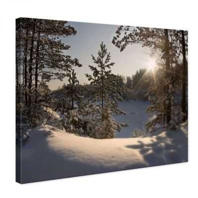 Quadro Paesaggio cade la neve quadro moderno stampa su tela psgo893
