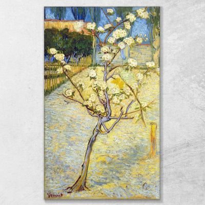 Piccolo Pero In Fiore Van Gogh Vincent quadro stampa su tela vvg8