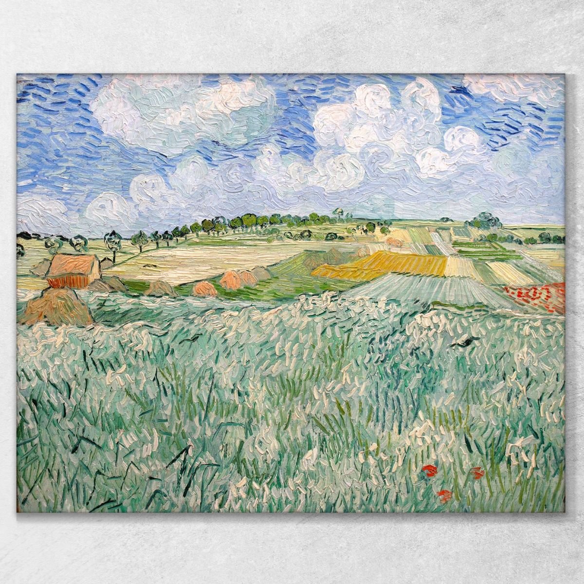 Pianura Nei Pressi Di Auvers Van Gogh Vincent quadro stampa su tela vvg71