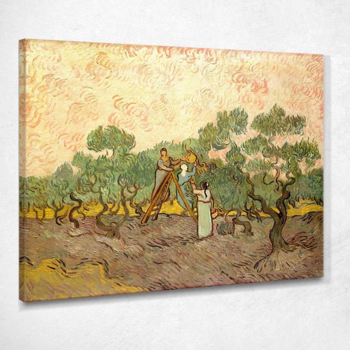 Donne Che Raccolgono Le Olive Van Gogh Vincent quadro stampa su tela vvg82