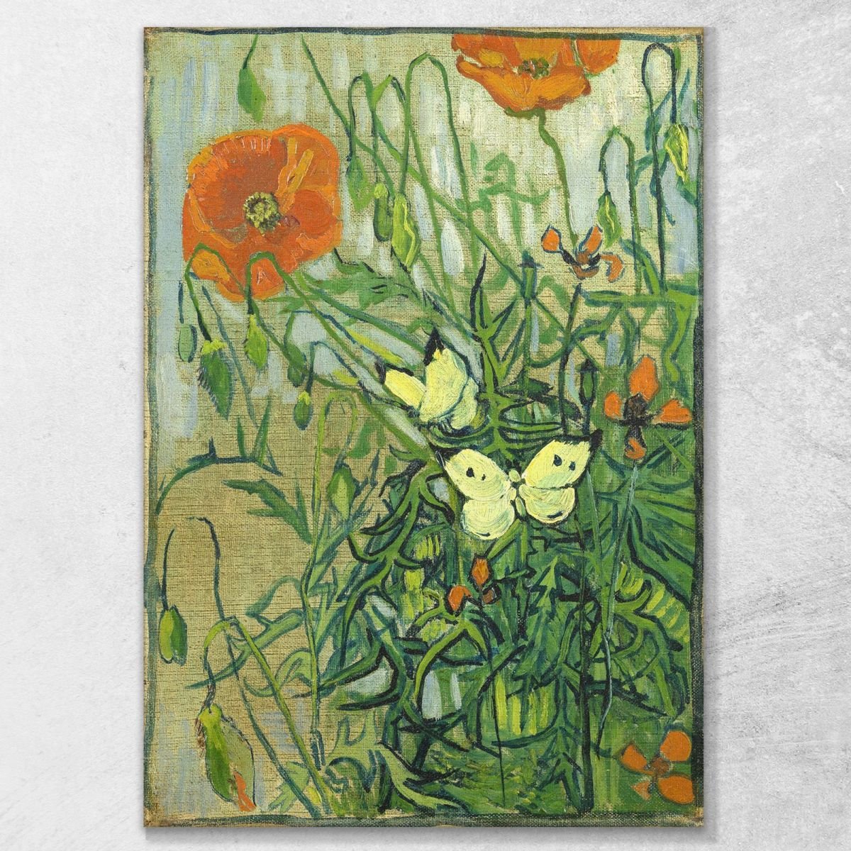 Farfalle E Papaveri Van Gogh Vincent quadro stampa su tela vvg115