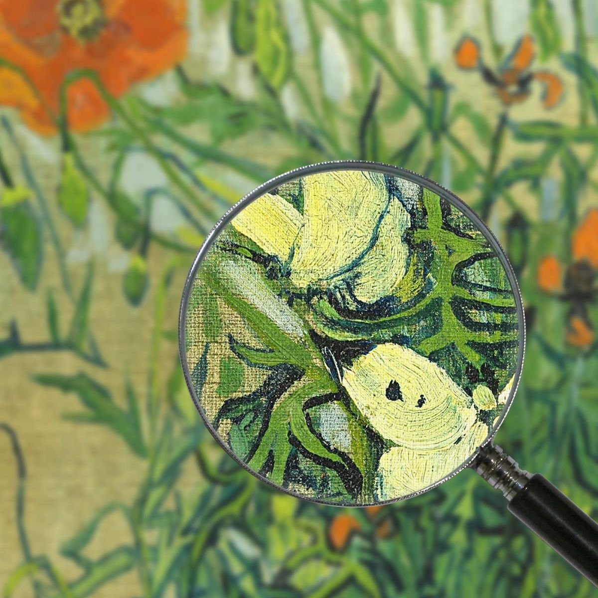 Farfalle E Papaveri Van Gogh Vincent quadro stampa su tela vvg115