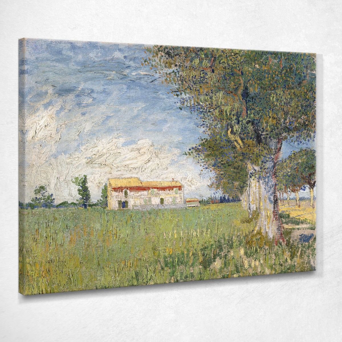 Agriturismo In Un Campo Di Grano Van Gogh Vincent quadro stampa su tela vvg123