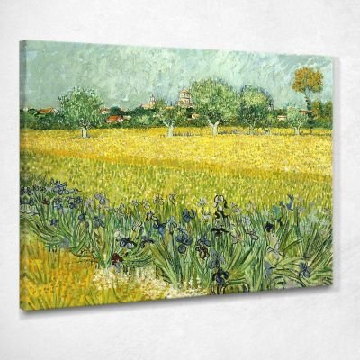 Campo Con Fiori Nei Pressi Di Arles Van Gogh Vincent stampa su tela vvg124