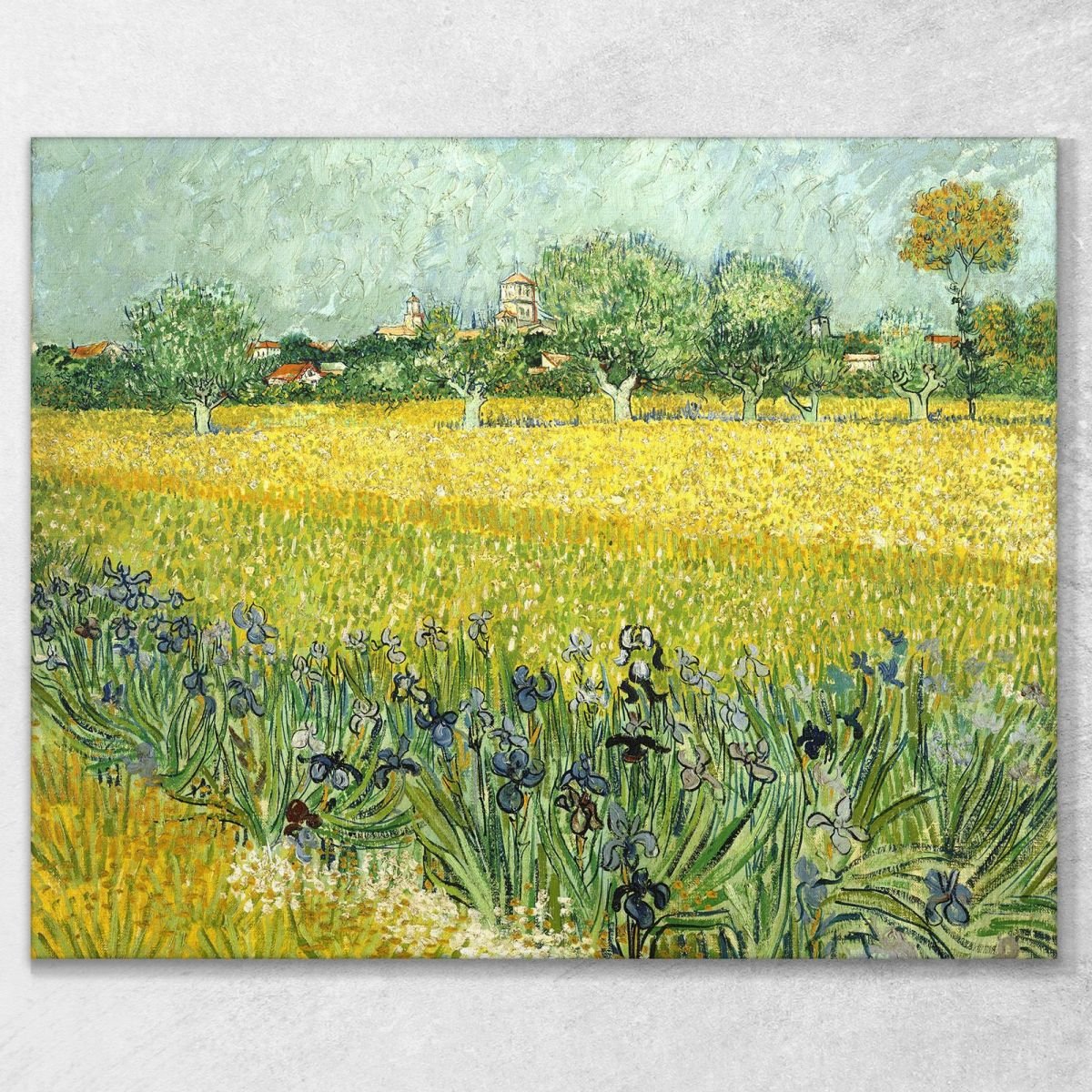 Campo Con Fiori Nei Pressi Di Arles Van Gogh Vincent stampa su tela vvg124