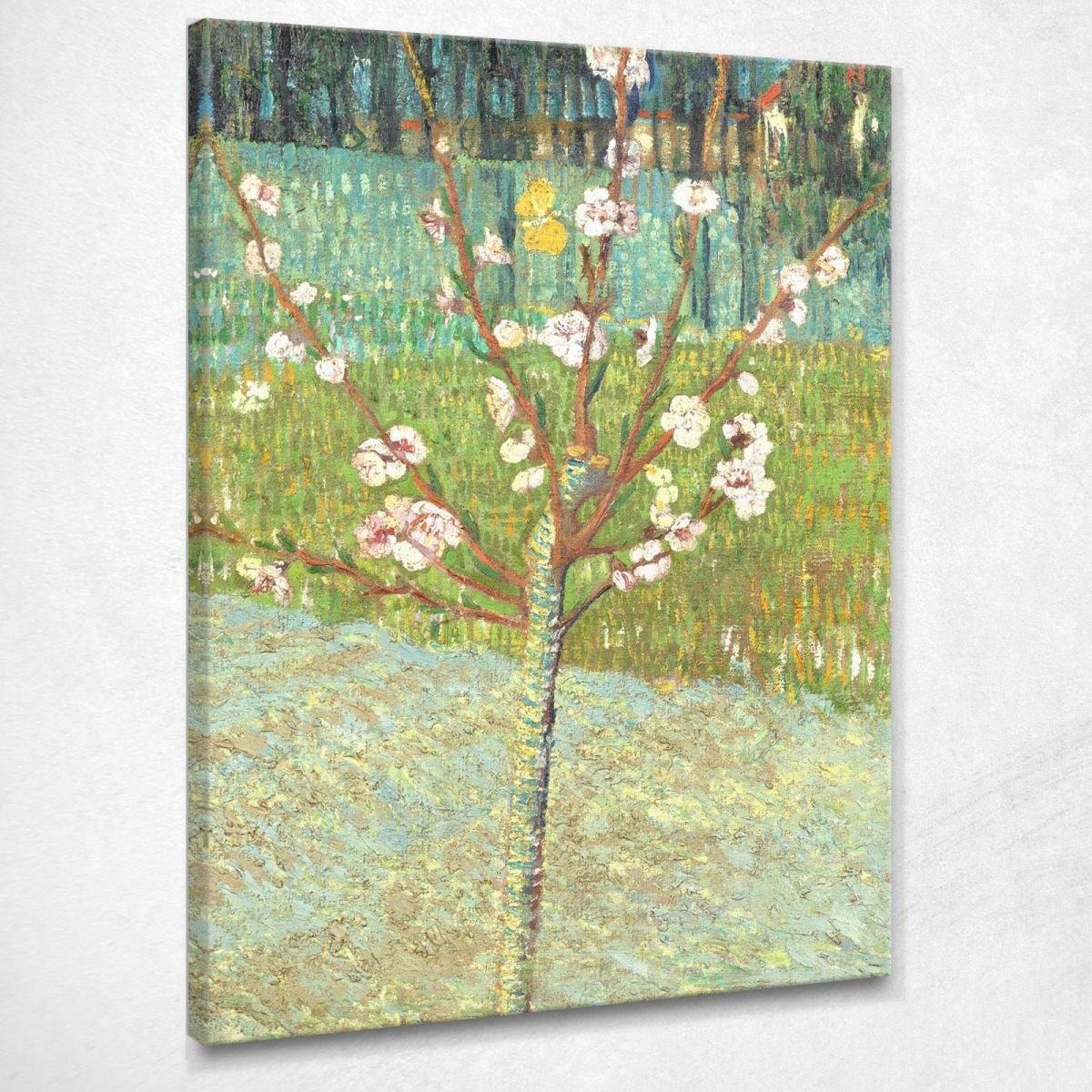 Pesco In Fiore Van Gogh Vincent quadro stampa su tela vvg139