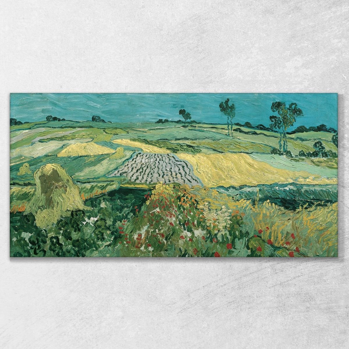 La Piana Di Auvers Van Gogh Vincent quadro stampa su tela vvg173