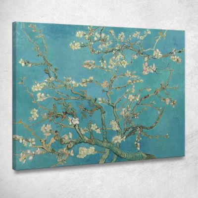 Fiori Di Mandorlo Vincent van Gogh vvg16 quadro stampa su tela