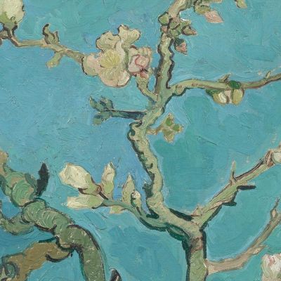Fiori Di Mandorlo Vincent van Gogh vvg16 quadro stampa su tela Fiori Di Mandorlo Vincent van Gogh vvg16 quadro stampa su tela