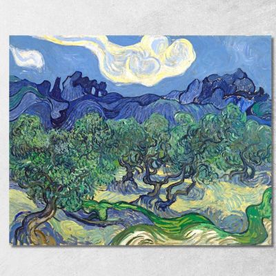The Olive Trees Vincent van Gogh, vvg75 canvas print
