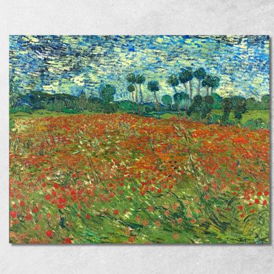 Field Of Poppies Vincent van Gogh, vvg153 canvas print
