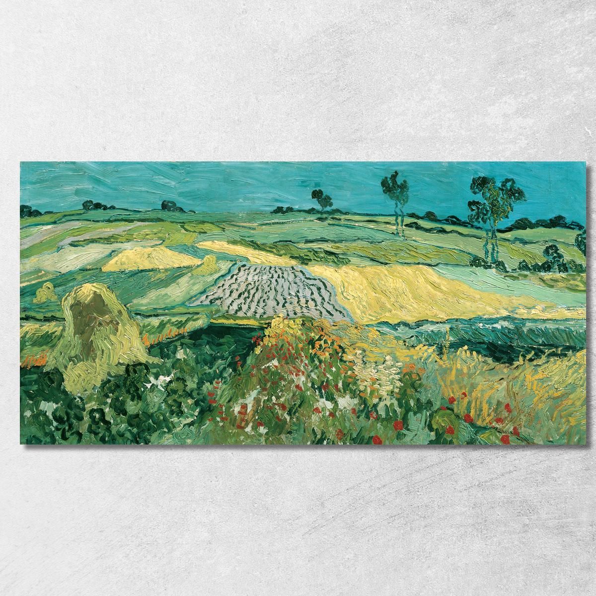 La Pianura Di Auvers Vincent van Gogh vvg173 quadro stampa su tela