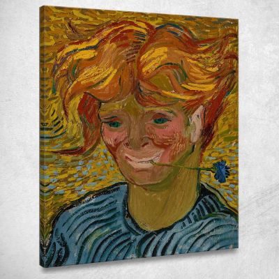 Giovane Con Fiordaliso Vincent van Gogh vvg228 quadro stampa su tela