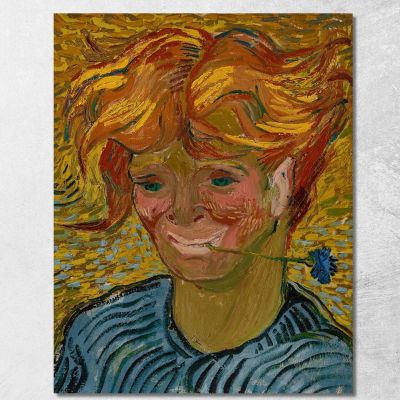 Joven Con Aciano Vincent van Gogh, vvg228 cuadro en lienzo