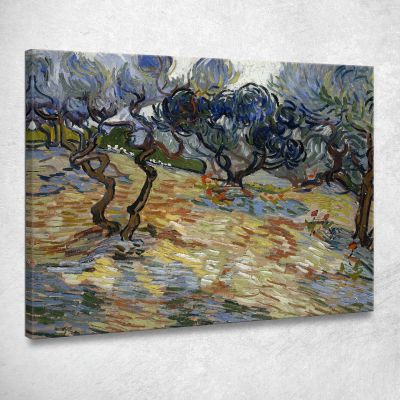 Olivi 3 Vincent van Gogh vvg249 quadro stampa su tela