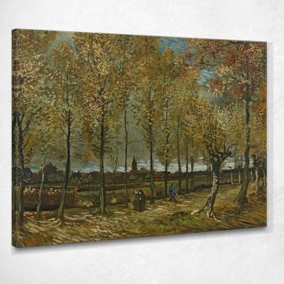 Pioppi Vicino A Nuenen Vincent van Gogh vvg259 quadro stampa su tela