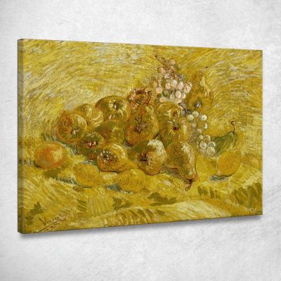 Mele Cotogne Limoni Pere E Uva Vincent van Gogh vvg266 quadro stampa su tela