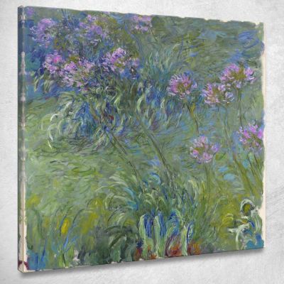 Fiori Di Agapanto Claude Monet mnt2 quadro stampa su tela