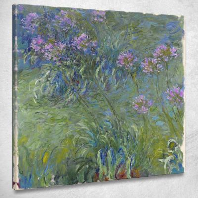 Fiori Di Agapanto Claude Monet mnt2 quadro stampa su tela