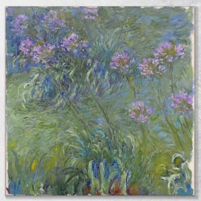 Agapanthus Flowers Claude Monet, mnt2 canvas print