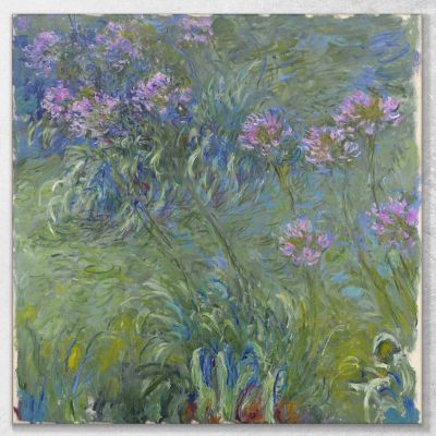 Fiori Di Agapanto Claude Monet mnt2 quadro stampa su tela