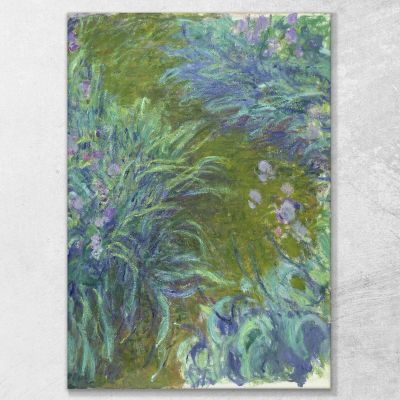 Lirios Claude Monet, mnt16 cuadro en lienzo