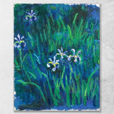 Iris 1914 Claude Monet mnt33 quadro stampa su tela