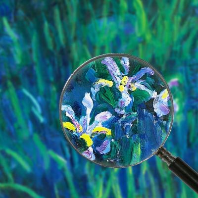 Iris 1914 Claude Monet mnt33 quadro stampa su tela