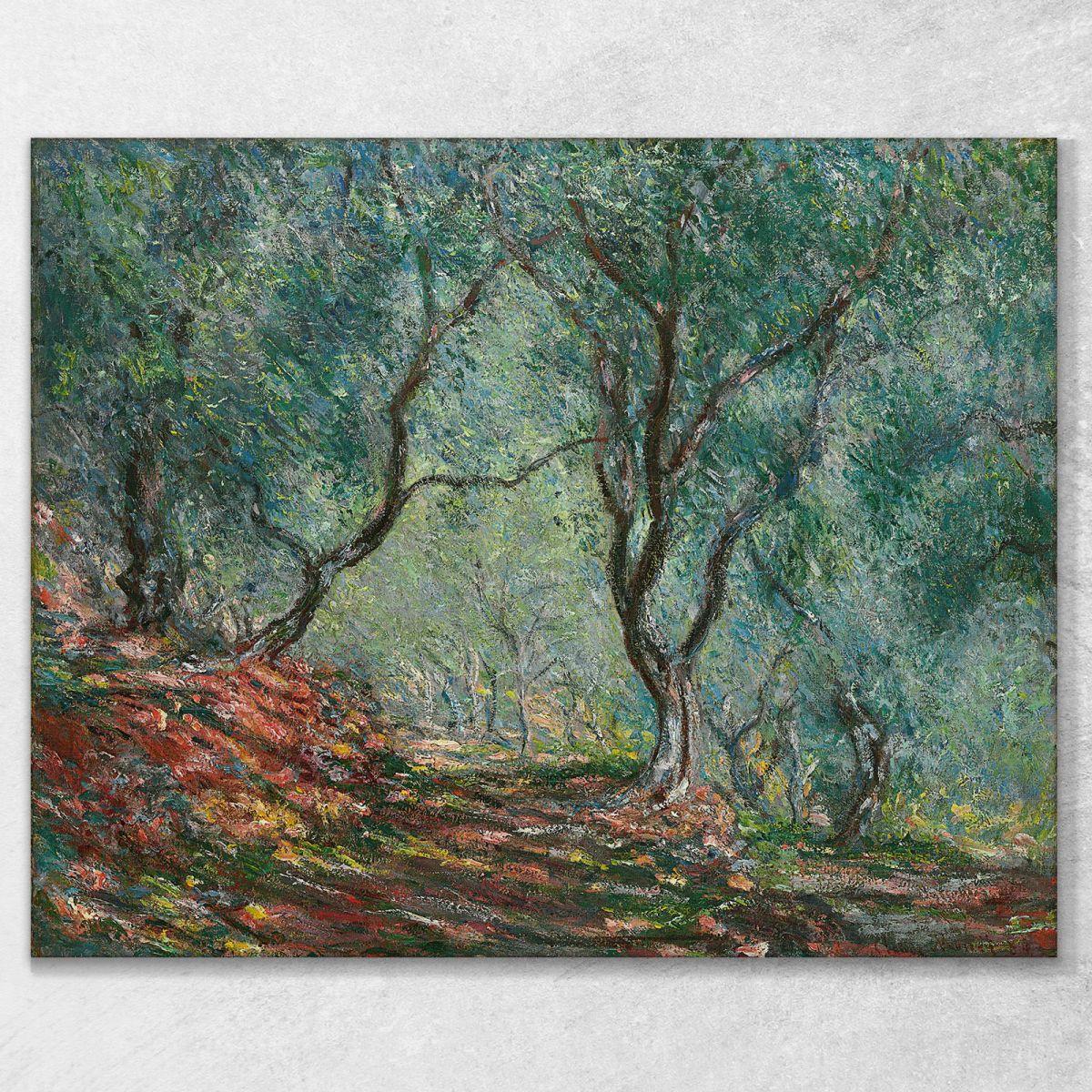 Boschi Di Ulivi Nel Giardino Moreno Claude Monet mnt198 quadro stampa su tela