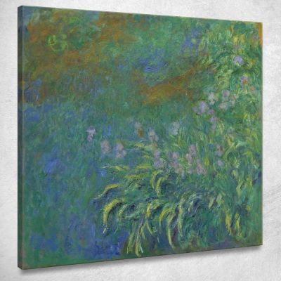 Iris Claude Monet mnt254 quadro stampa su tela