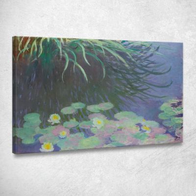 Ninfee Con Riflessi Di Erbe Alte Claude Monet mnt285 quadro stampa su tela