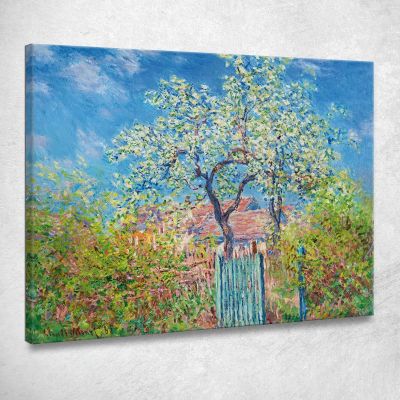 Pero In Fiore Claude Monet mnt291 quadro stampa su tela