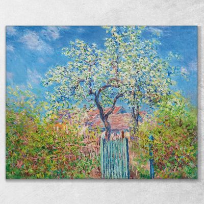 Pero In Fiore Claude Monet mnt291 quadro stampa su tela