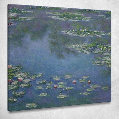 Ninfee Claude Monet mnt361 quadro stampa su tela