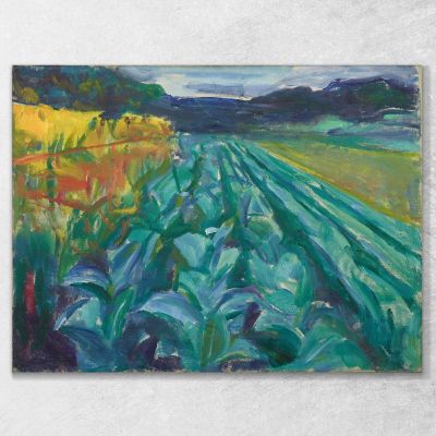 Campo Di Cavoli Edvard Munch em77 quadro stampa su tela