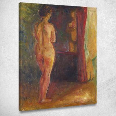 Nudo Davanti Allo Specchio Edvard Munch em232 quadro stampa su tela