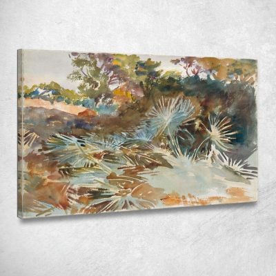 Paesaggio Con Palme Nane John Singer Sargent jss132 quadro stampa su tela