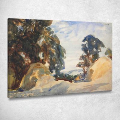 Paesaggio Con Alberi John Singer Sargent jss133 quadro stampa su tela