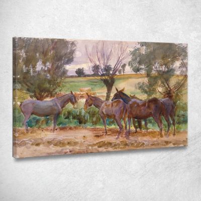Muli John Singer Sargent jss201 quadro stampa su tela