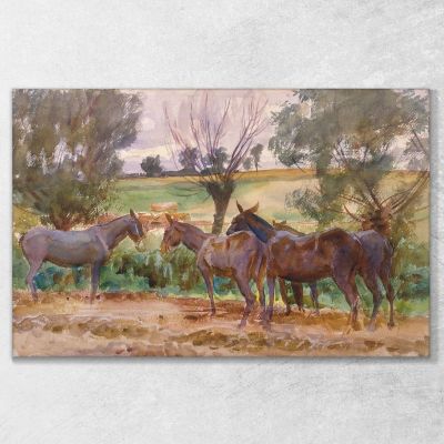 Mulas John Singer Sargent, jss201 cuadro en lienzo