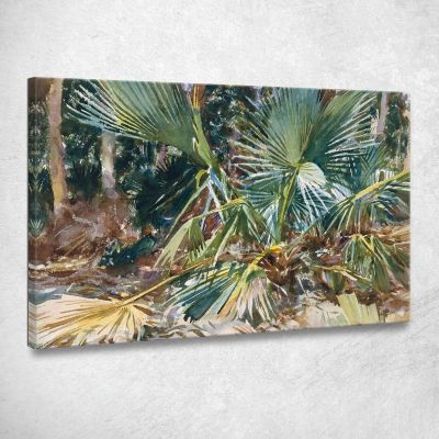 Palmetto John Singer Sargent jss212 quadro stampa su tela